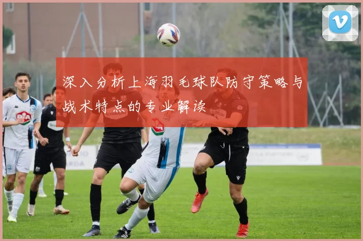 深入分析上海羽毛球队防守策略与战术特点的专业解读