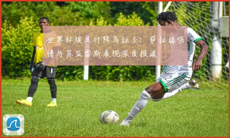 世界杯埃及对阵乌拉圭：萨拉赫伤情与苏亚雷斯表现深度报道