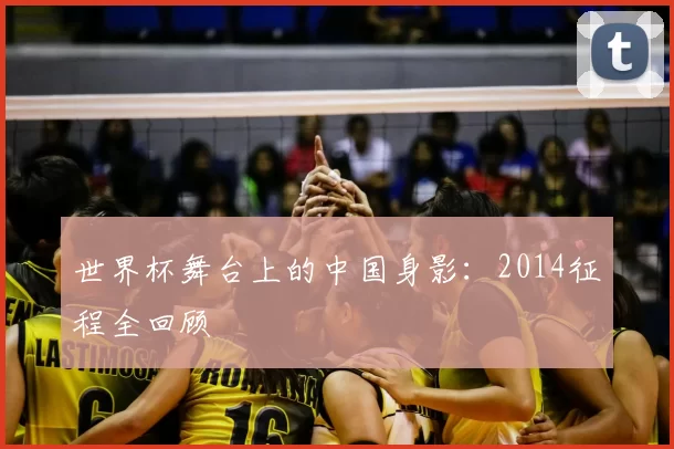 世界杯舞台上的中国身影：2014征程全回顾