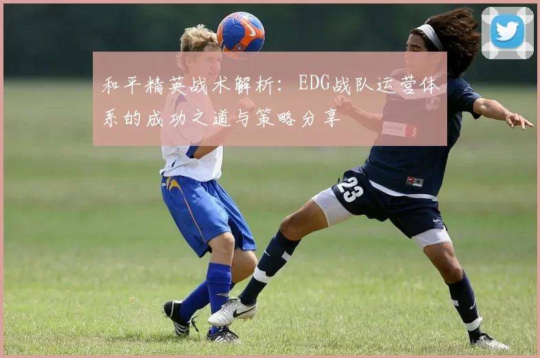 和平精英战术解析：EDG战队运营体系的成功之道与策略分享