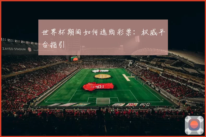 世界杯期间如何选购彩票：权威平台指引
