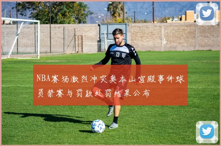 NBA赛场激烈冲突奥本山宫殿事件球员禁赛与罚款处罚结果公布