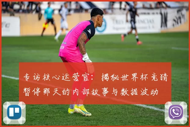 专访核心运营官:揭秘世界杯竞猜暂停那天的内部故事与数据波动