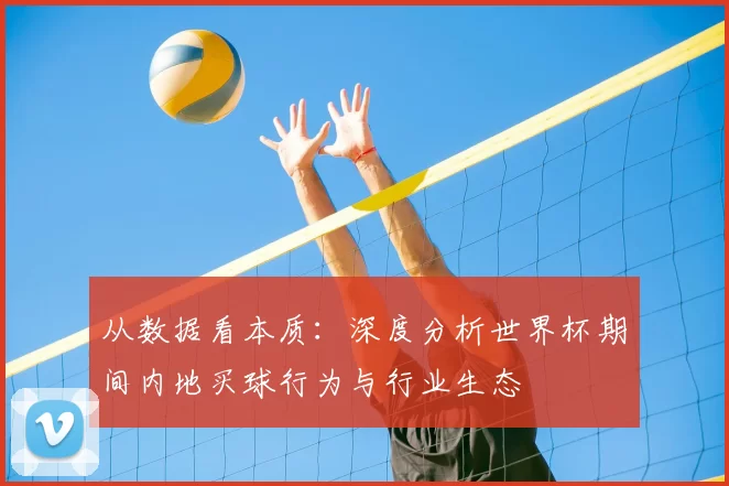 从数据看本质：深度分析世界杯期间内地买球行为与行业生态