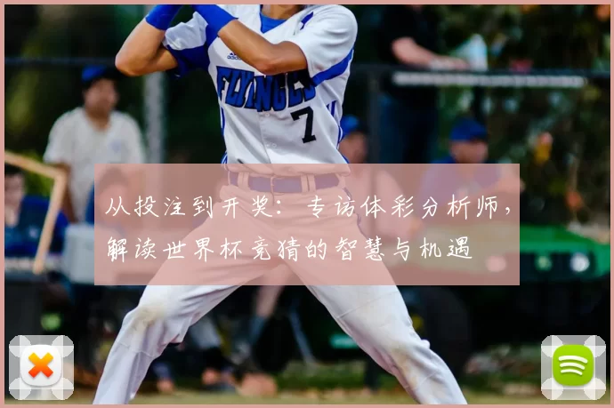 从投注到开奖:专访体彩分析师,解读世界杯竞猜的智慧与机遇