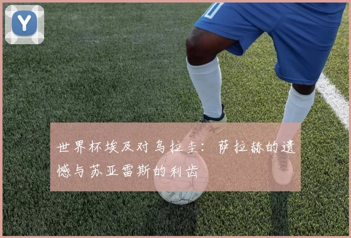 世界杯埃及对乌拉圭:萨拉赫的遗憾与苏亚雷斯的利齿