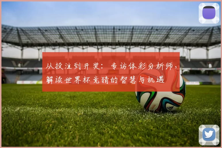 从投注到开奖:专访体彩分析师,解读世界杯竞猜的智慧与机遇
