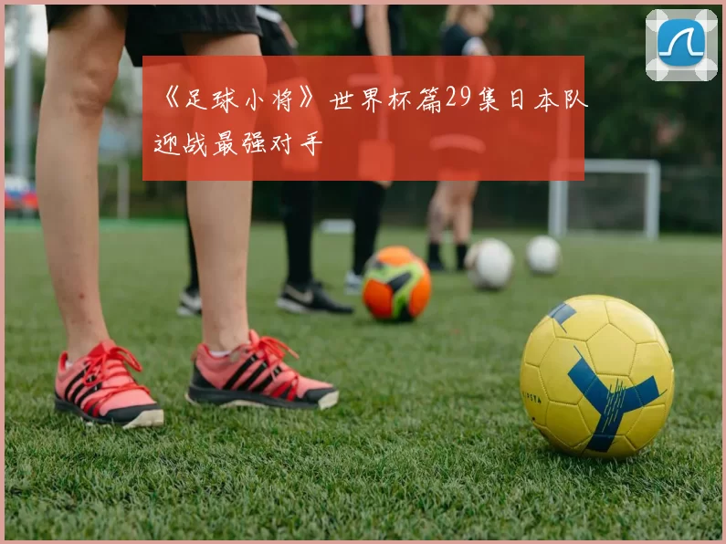《足球小将》世界杯篇29集日本队迎战最强对手